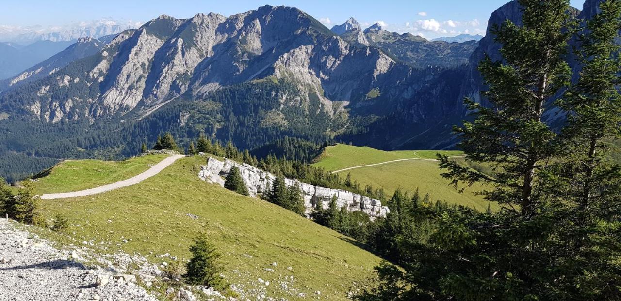 Nr 3 "Aggenstein"-Einzigartige Studio Mit Sued Balkon Inkl Koenigscard Pfronten Buitenkant foto